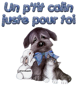 Gif un petit câlin